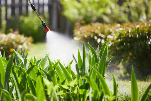 Tamper-Resistant Bait Stations for Rodents in Lake St. Louis