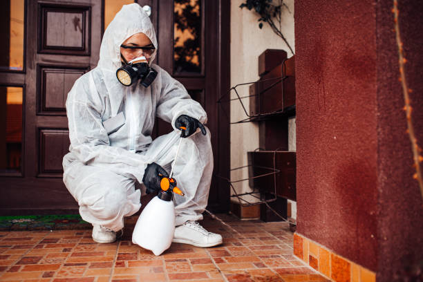 Attic and Crawl Space Rodent Treatment in Lake St. Louis