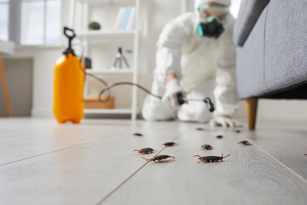 Commercial Rodent Management in Lake St. Louis